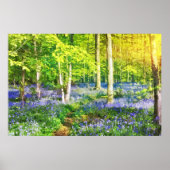 Zonsondergang in blauwe bos poster (Voorkant)