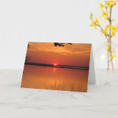 Zonsondergang in Bloemkroon, NC Kaart (Gele Bloem)