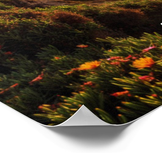 Zonsondergang in Cabo de Roca Poster (Hoek)