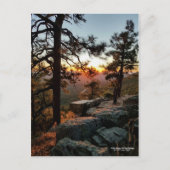 Zonsondergang in de Mogollon Rim Arizona Briefkaart (Voorkant)