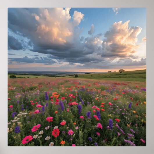 Zonsondergang in levendig bloemenveld poster (Voorkant)