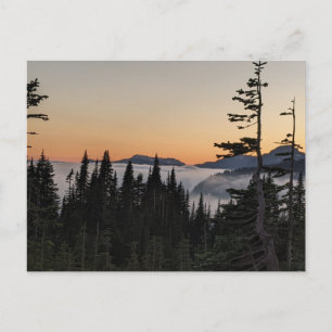 Zonsondergang in Paradise, Mount Rainier National Briefkaart
