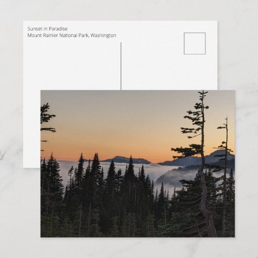 Zonsondergang in Paradise, Mount Rainier National Briefkaart (Voorkant / Achterkant)