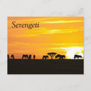 Zonsondergang in Serengeti Briefkaart