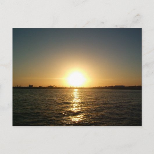 zonsondergang in tampa florida briefkaart (Voorkant)