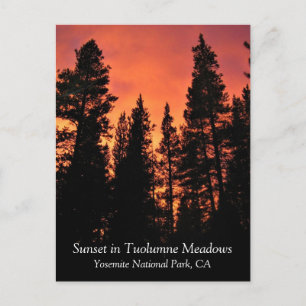 Zonsondergang in Tuolumne Meadows, Yosemite, CA an Briefkaart