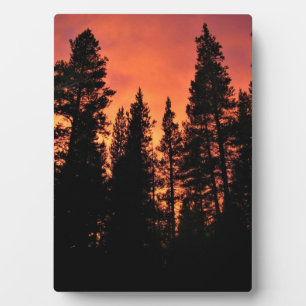 Zonsondergang in Tuolumne Meadows, Yosemite, CA Fotoplaat