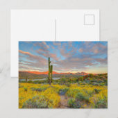 Zonsondergang in woestijnlandschap briefkaart (Voorkant / Achterkant)