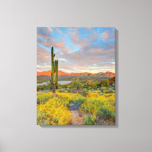 Zonsondergang in woestijnlandschap canvas afdruk (Voorkant)