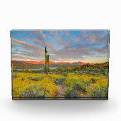 Zonsondergang in woestijnlandschap fotoblokken (Voorkant)