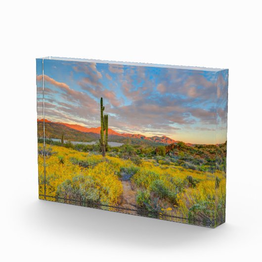 Zonsondergang in woestijnlandschap fotoblokken (Rechts)