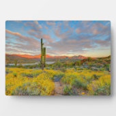 Zonsondergang in woestijnlandschap fotoplaat (voorkant)