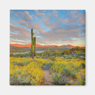 Zonsondergang in woestijnlandschap magneet