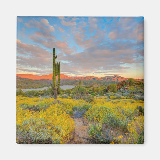 Zonsondergang in woestijnlandschap magneet (Voorkant)