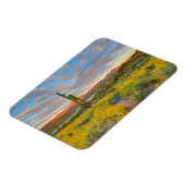 Zonsondergang in woestijnlandschap magneet (Linkerzijde)