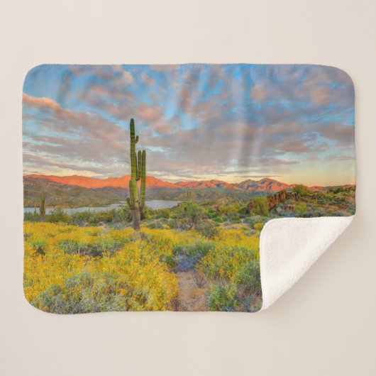 Zonsondergang in woestijnlandschap sherpa deken (Voorkant (horizontaal))