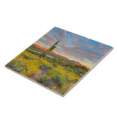 Zonsondergang in woestijnlandschap tegeltje (Zijkant)