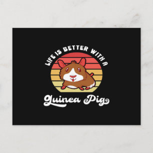 Zonsondergang leven beter met een cavia Schattig Briefkaart