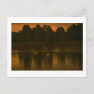 Zonsondergang Meer Regen Zwanen Natuur Landschap Briefkaart
