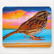 Zonsondergang Melodie