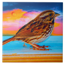 Zonsondergang Melodie