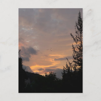 Zonsondergang met vogels die over bomen vliegen, a feestdagenkaart