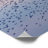 Zonsondergang Murmuration Poster (Hoek)