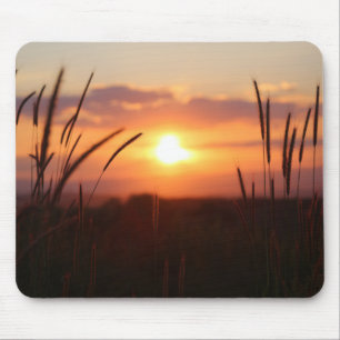 Zonsondergang, Natuur, weide Muismat