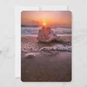 Zonsondergang Oceaanstrand,Slingerlichtjes Schelp  Kaart (Achterkant)