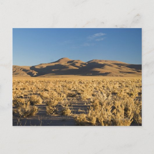 Zonsondergang op de Altiplano van Argentinië Briefkaart (Voorkant)