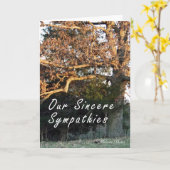 Zonsondergang op de kaart van de boomsympathie (Gele Bloem)