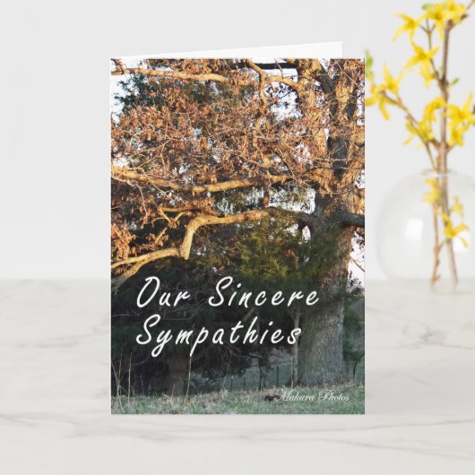 Zonsondergang op de kaart van de boomsympathie (Gele Bloem)