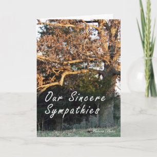 Zonsondergang op de kaart van de boomsympathie