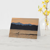 Zonsondergang op de Olympische bergen - Frameable Kaart (Gele Bloem)