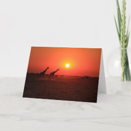 Zonsondergang op de Pan Nxai Feestdagen Kaart