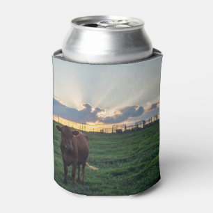 Zonsondergang op een veehouderij blikjeskoeler