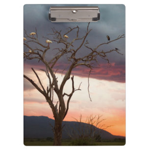 Zonsondergang op Kandheri-moeras met Afrikaanse le Klembord