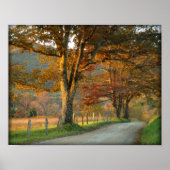 Zonsondergang op Sparks Lane Poster (Voorkant)