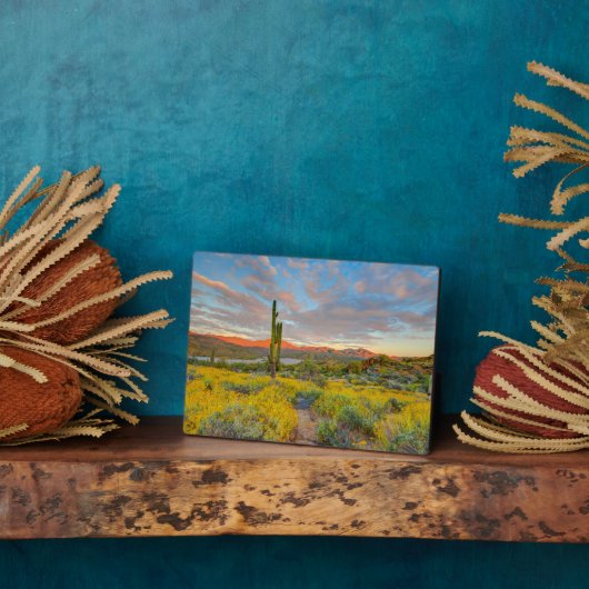 Zonsondergang op woestijnlandschap fotoplaat (Zijkant)