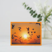 Zonsondergang Oranje Rand Briefkaart (Staand voorkant)