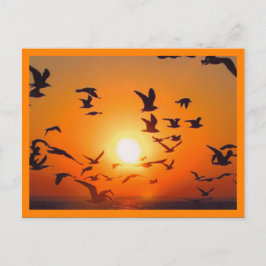 Zonsondergang Oranje Rand Briefkaart
