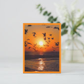Zonsondergang Oranje Rand Briefkaart (Staand voorkant)