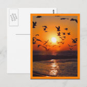 Zonsondergang Oranje Rand Briefkaart (Voorkant / Achterkant)