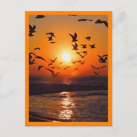Zonsondergang Oranje Rand Briefkaart (Voorkant)