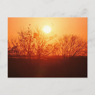 Zonsondergang over de Bayou Briefkaart