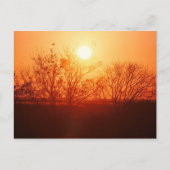 Zonsondergang over de Bayou Briefkaart (Voorkant)