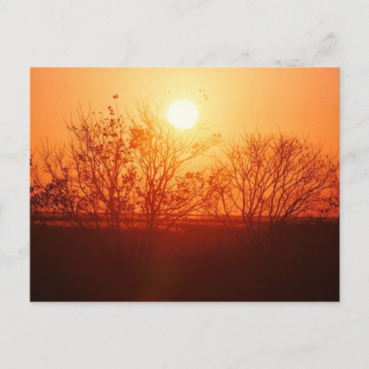 Zonsondergang over de Bayou Briefkaart (Voorkant)