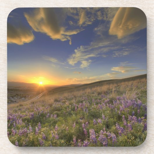 Zonsondergang over de Bitterroot Mountains en uitg Bier Onderzetter (Voorkant)