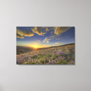 Zonsondergang over de Bitterroot Mountains en uitg Canvas Afdruk