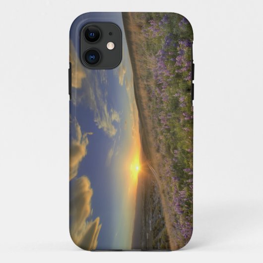 Zonsondergang over de Bitterroot Mountains en uitg Case-Mate iPhone Case (Achterkant)